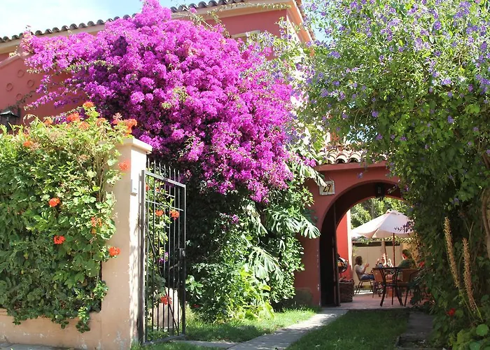 El Arbol Hostel La Serena